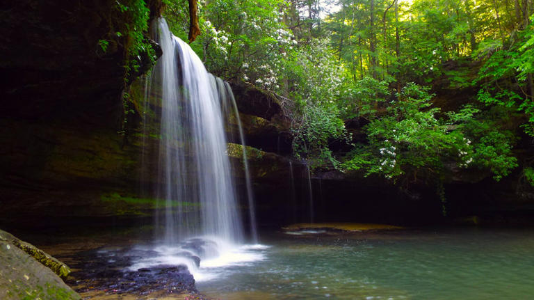 Alabama's 'land of 1,000 waterfalls' is an underrated forest with ...