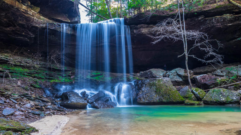 Alabama's 'land of 1,000 waterfalls' is an underrated forest with ...