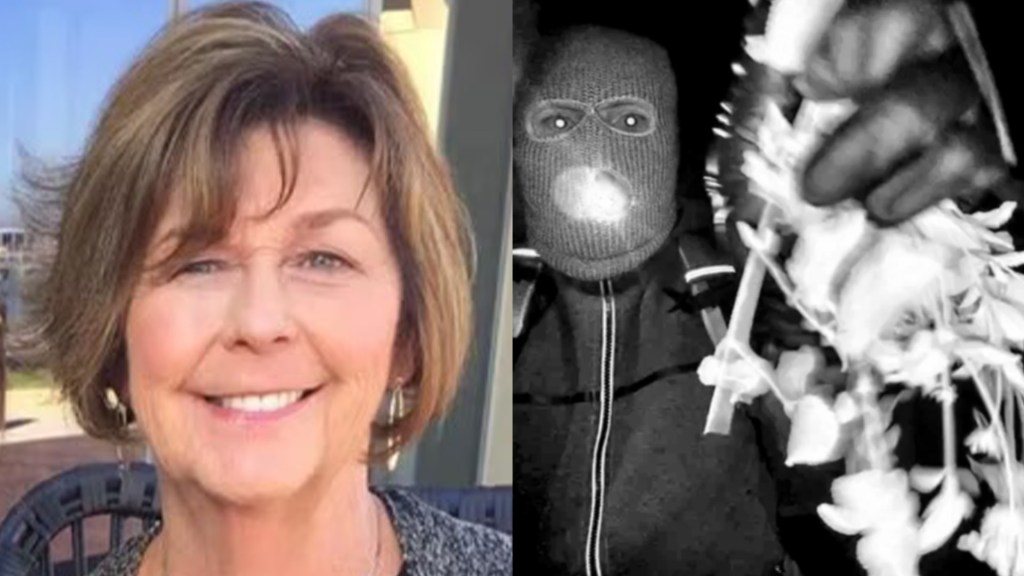 FBI releases new details of suspect in Nancy Guthrie kidnapping, increases reward to $100K<br><br>