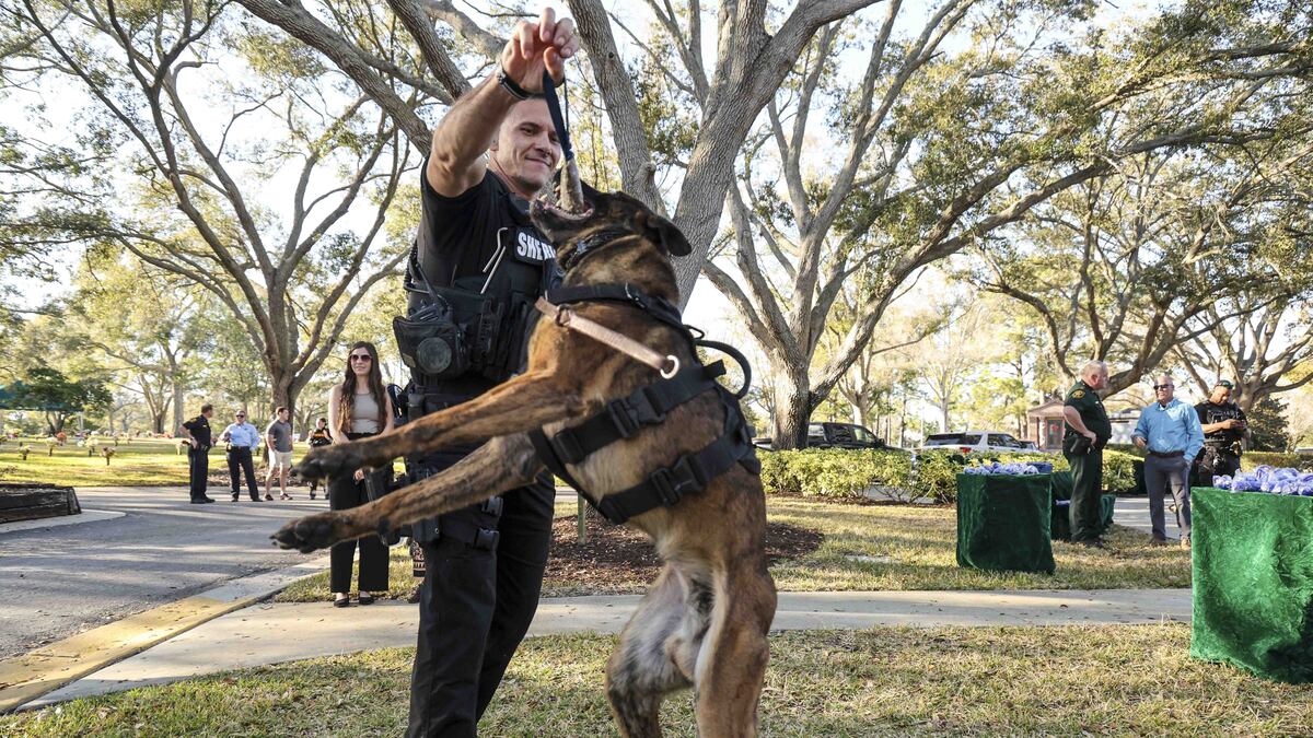 Honoring the K9 officers who protected Tampa Bay area