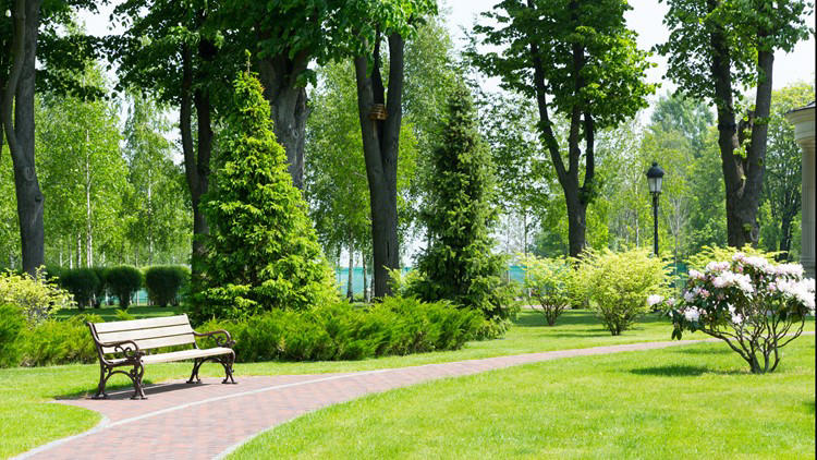 Fort Mill buys 50 acres from Novant Health for parks, preservation
