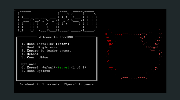 BSD: What is it, and how is it different from Linux?