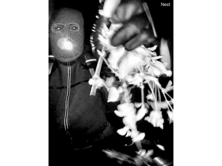 Person detained for questioning over kidnap of US TV anchor