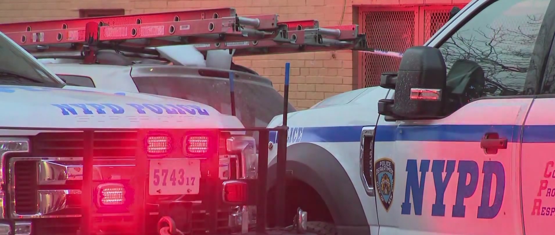 Man shot to death in Bronx subway station: NYPD