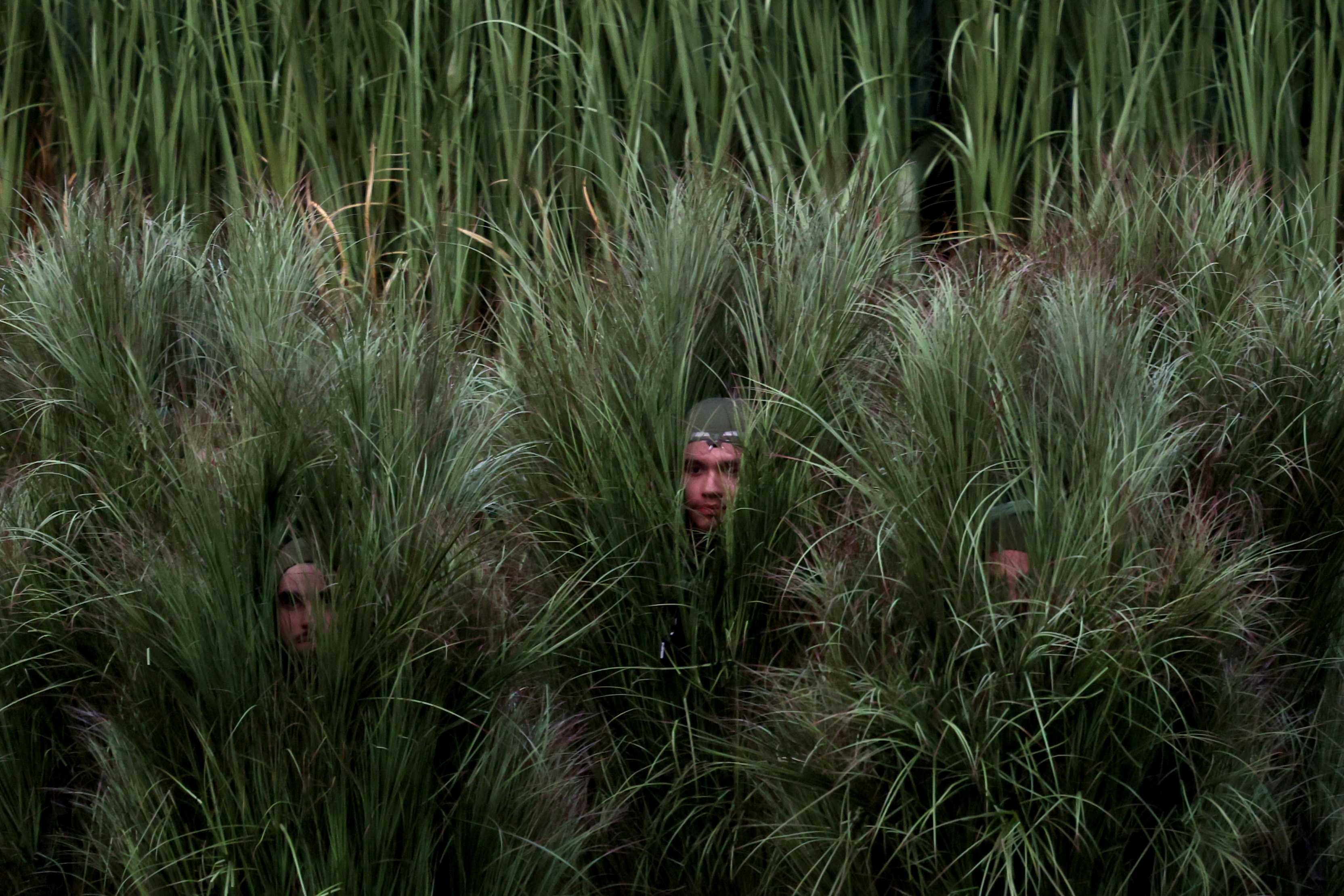 Bad Bunny halftime show performers from NorCal dressed as sugar cane ...