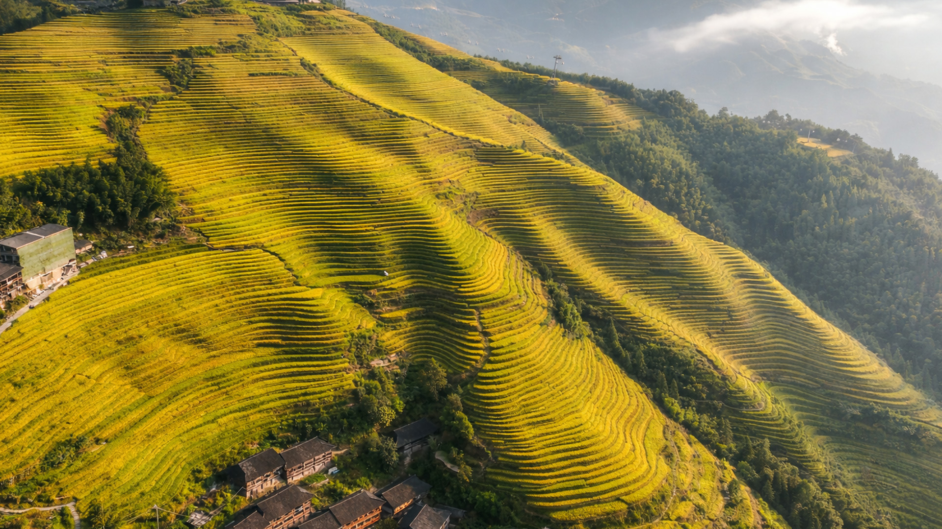 Entre agriculture et art naturel : les rizières de Longsheng