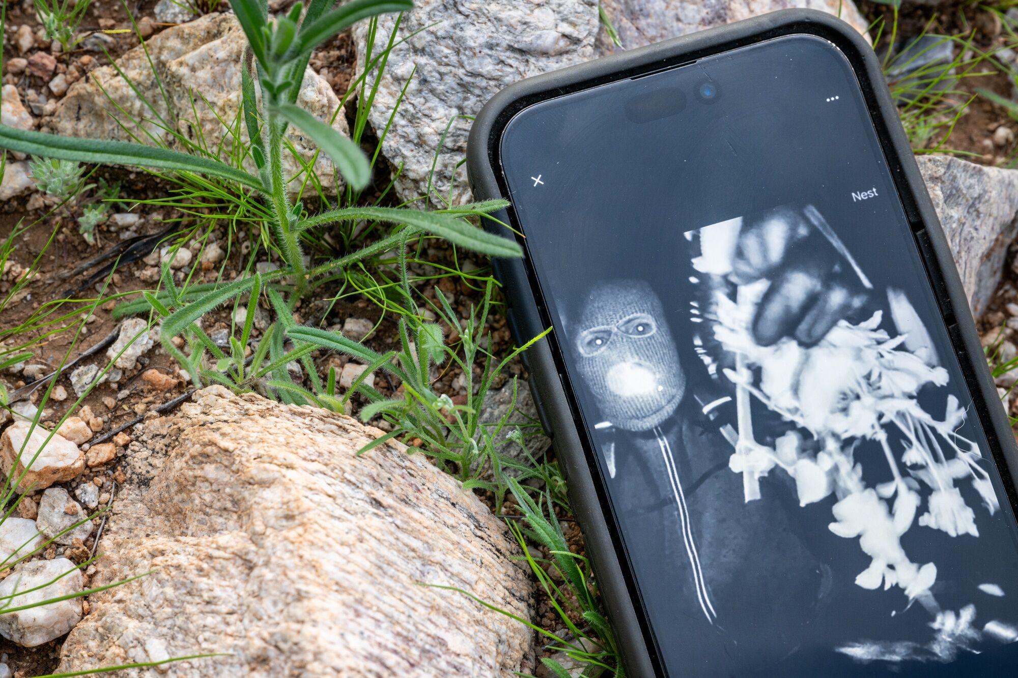 Person of interest apprehended in Nancy Guthrie’s disappearance<br>