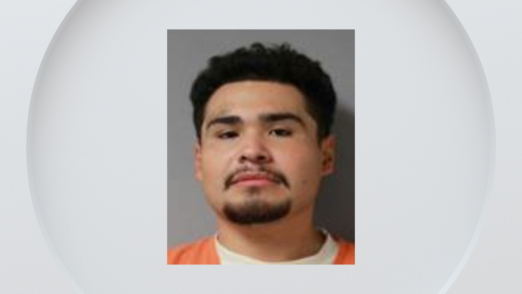 Man sentenced to prison for fatal shooting at birthday party in ...