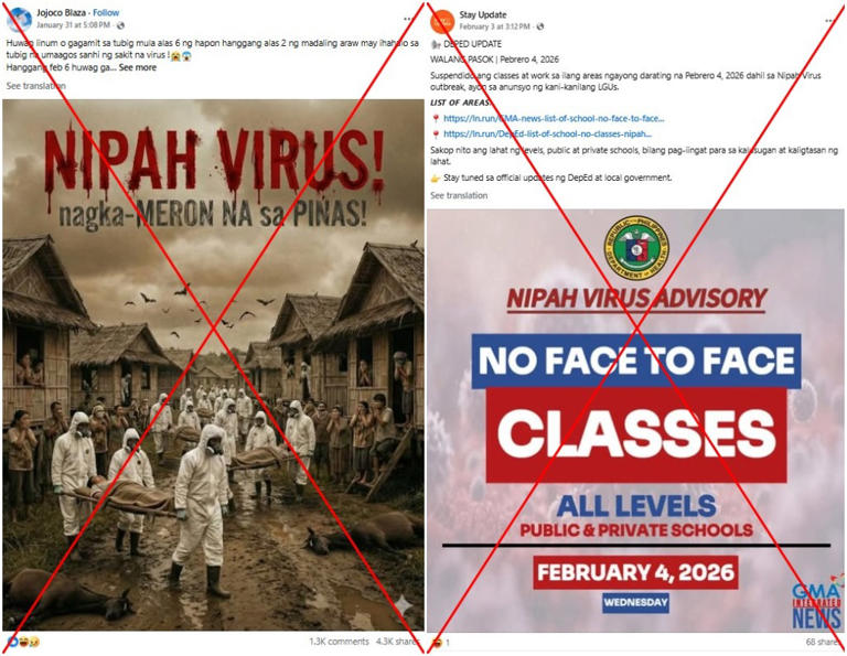 False posts about Nipah virus prey on fear of spread in Philippines