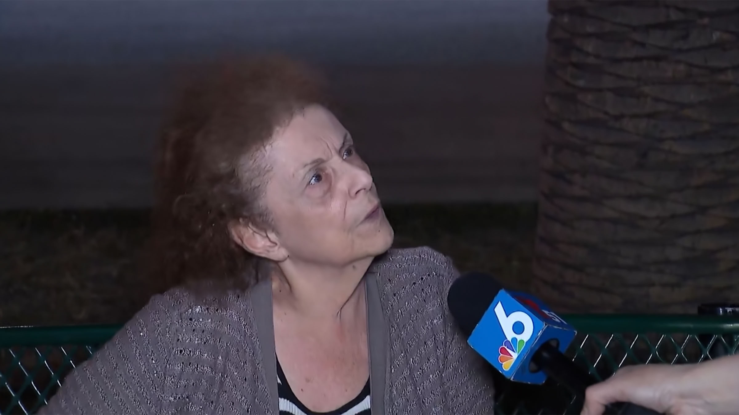 'I'm sorry' Woman, 82, speaks out after she allegedly hit child with