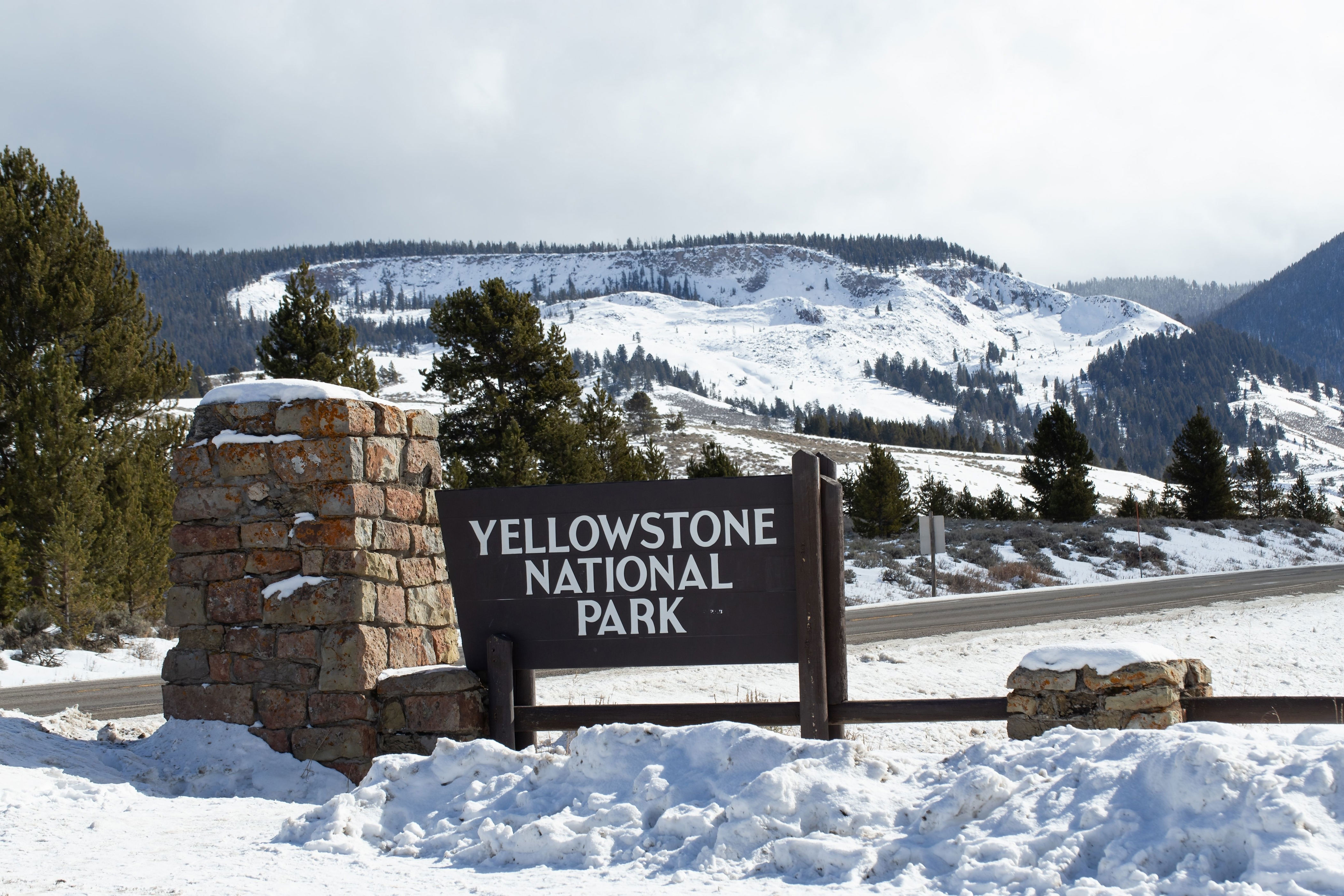 Yellowstone National Park’s rare summer snow forces unexpected closures ...