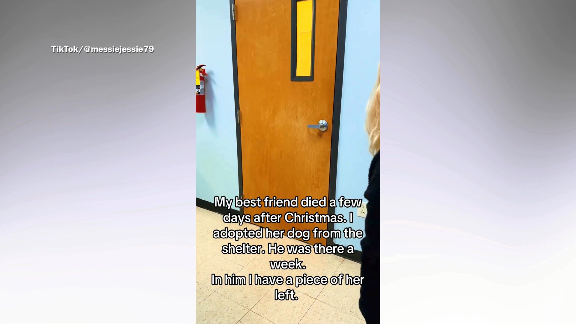 Woman adopts late best friend’s dog from shelter after sudden passing<br><br>