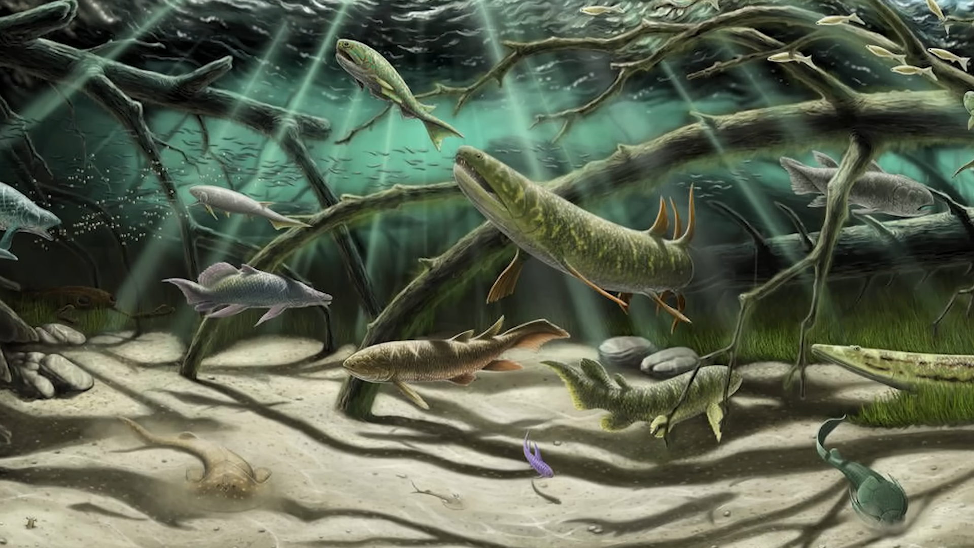 Inside the ancient sea war - What dominated the Panthalassic depths