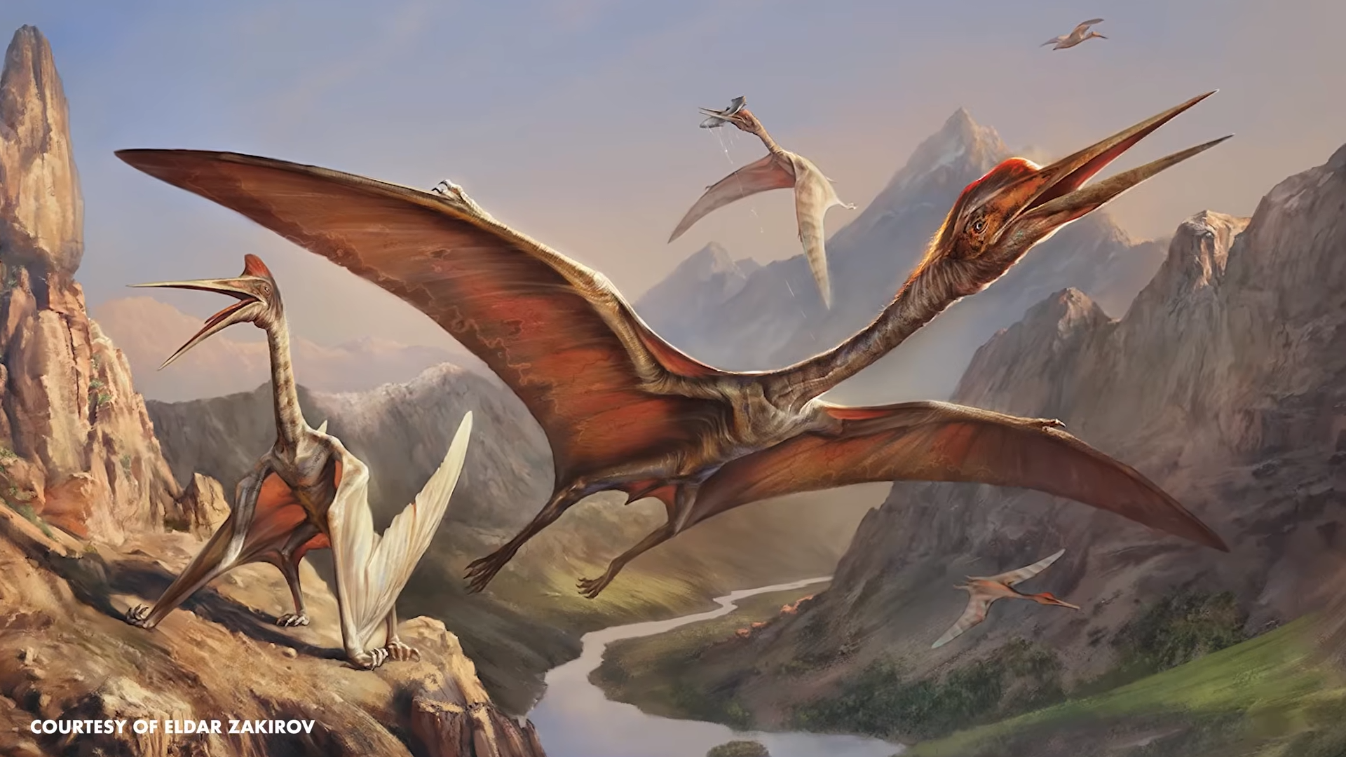 Scientists were wrong about the biggest flying animal