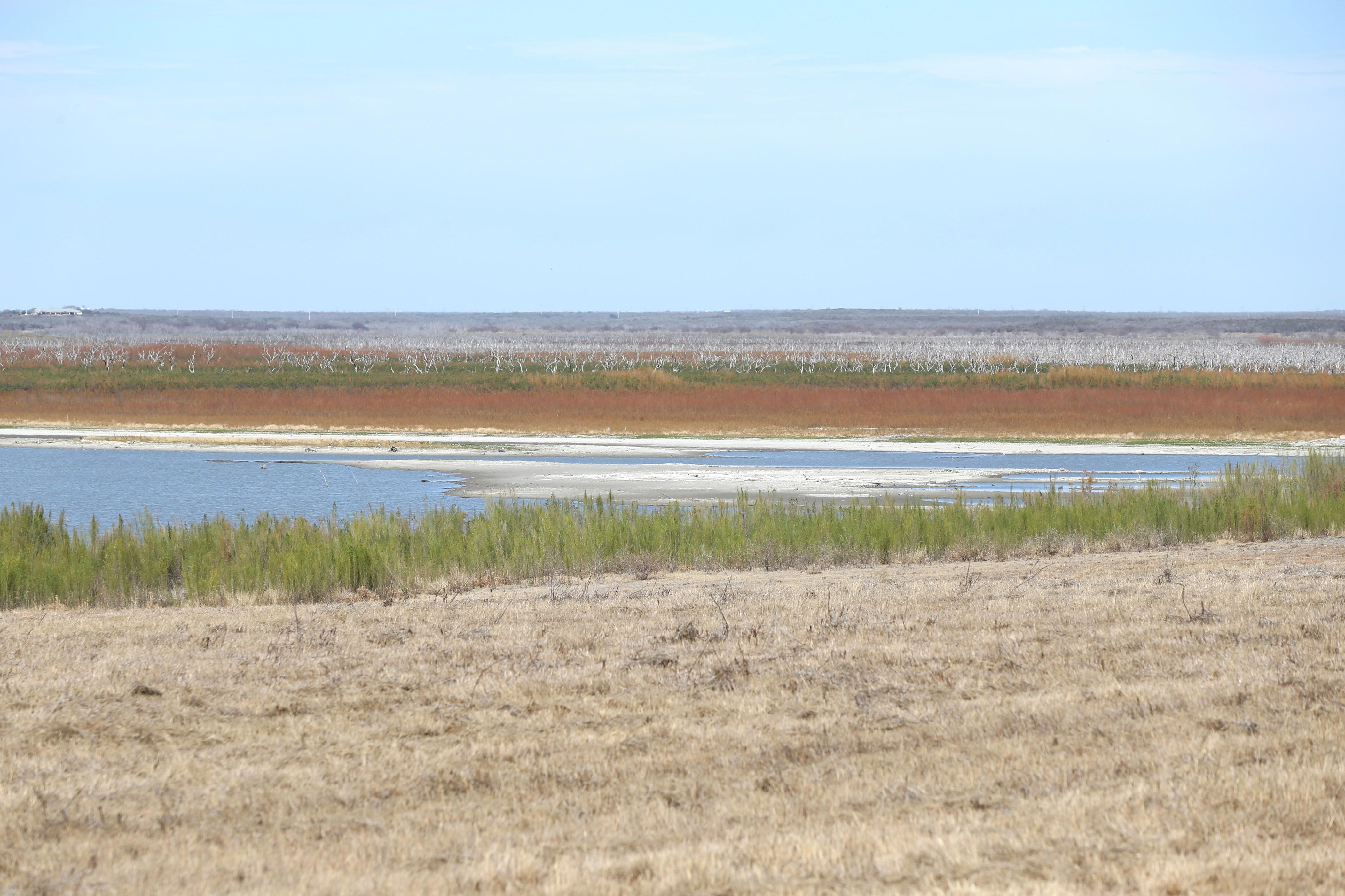 Here's how water use could be cut in Corpus Christi water emergency