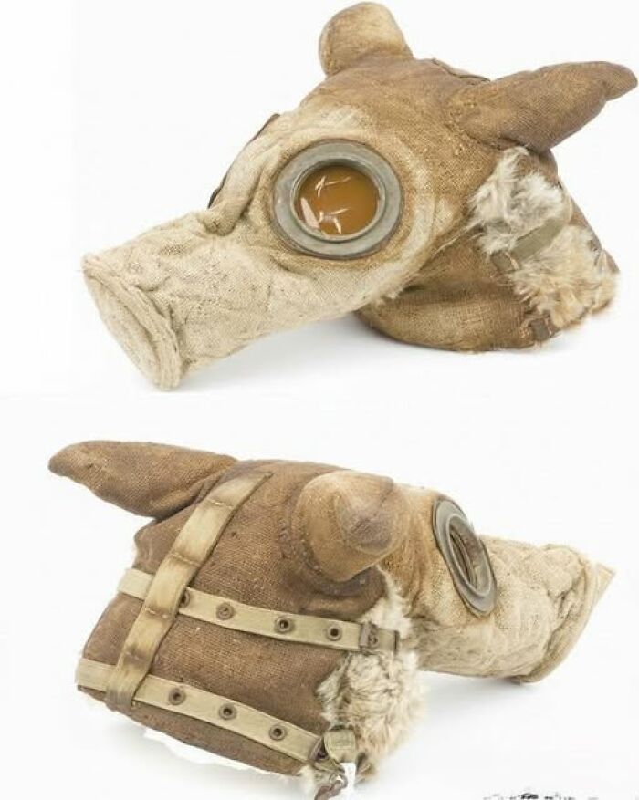 87 Extraordinary Artifacts That Have Surprised People For Centuries And Still Do Today