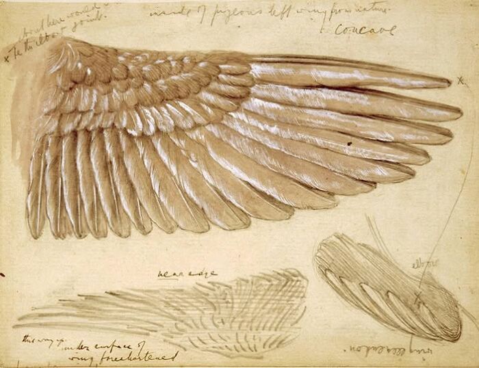 87 Extraordinary Artifacts That Have Surprised People For Centuries And Still Do Today