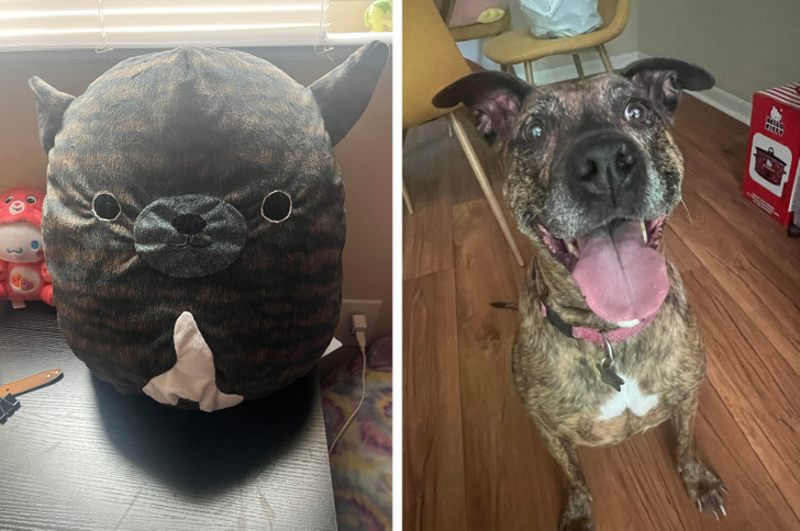 18 People Who Proved That the Most Precious Gifts Are the Ones Money Can’t Buy