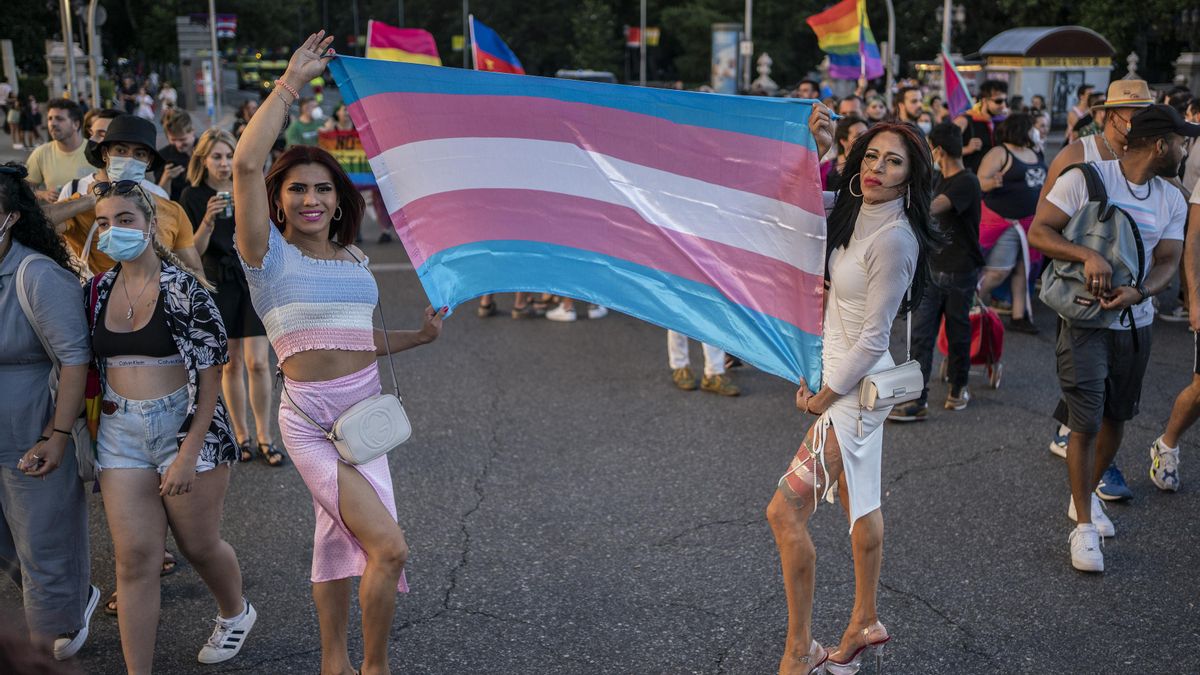 Sumar reclama al Gobierno que cumpla la Ley Trans para garantizar el ...
