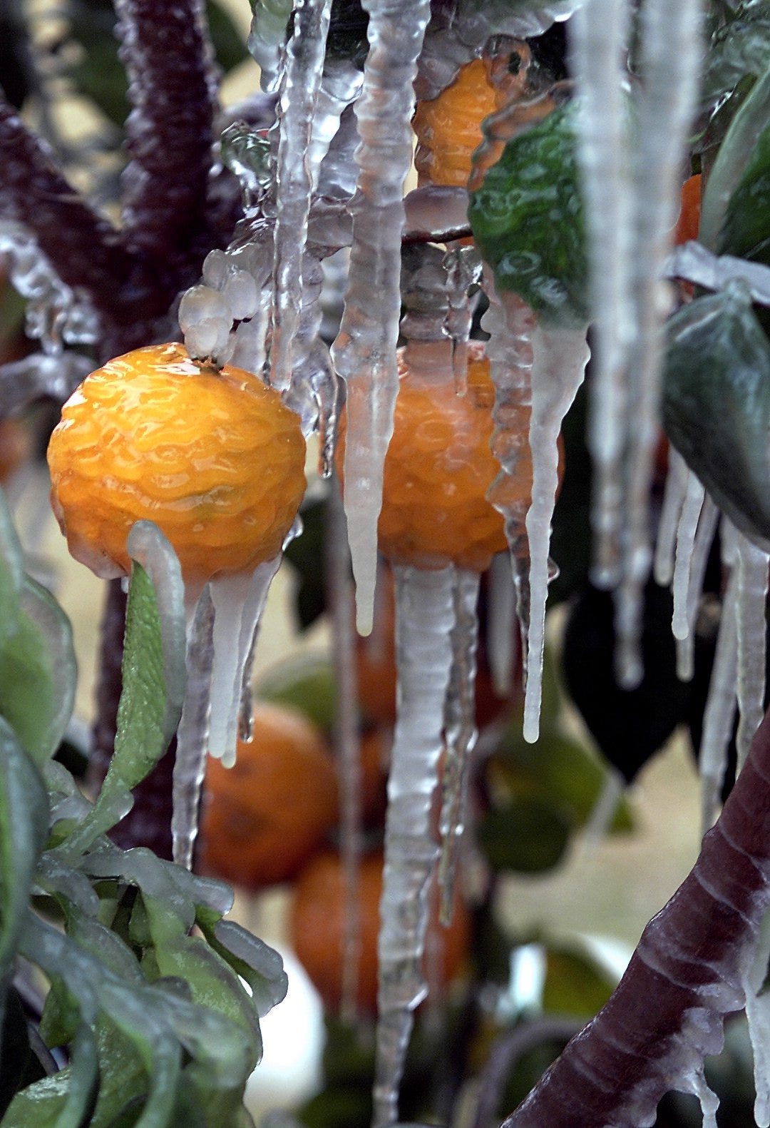 What Florida's fall weather may feel like this year