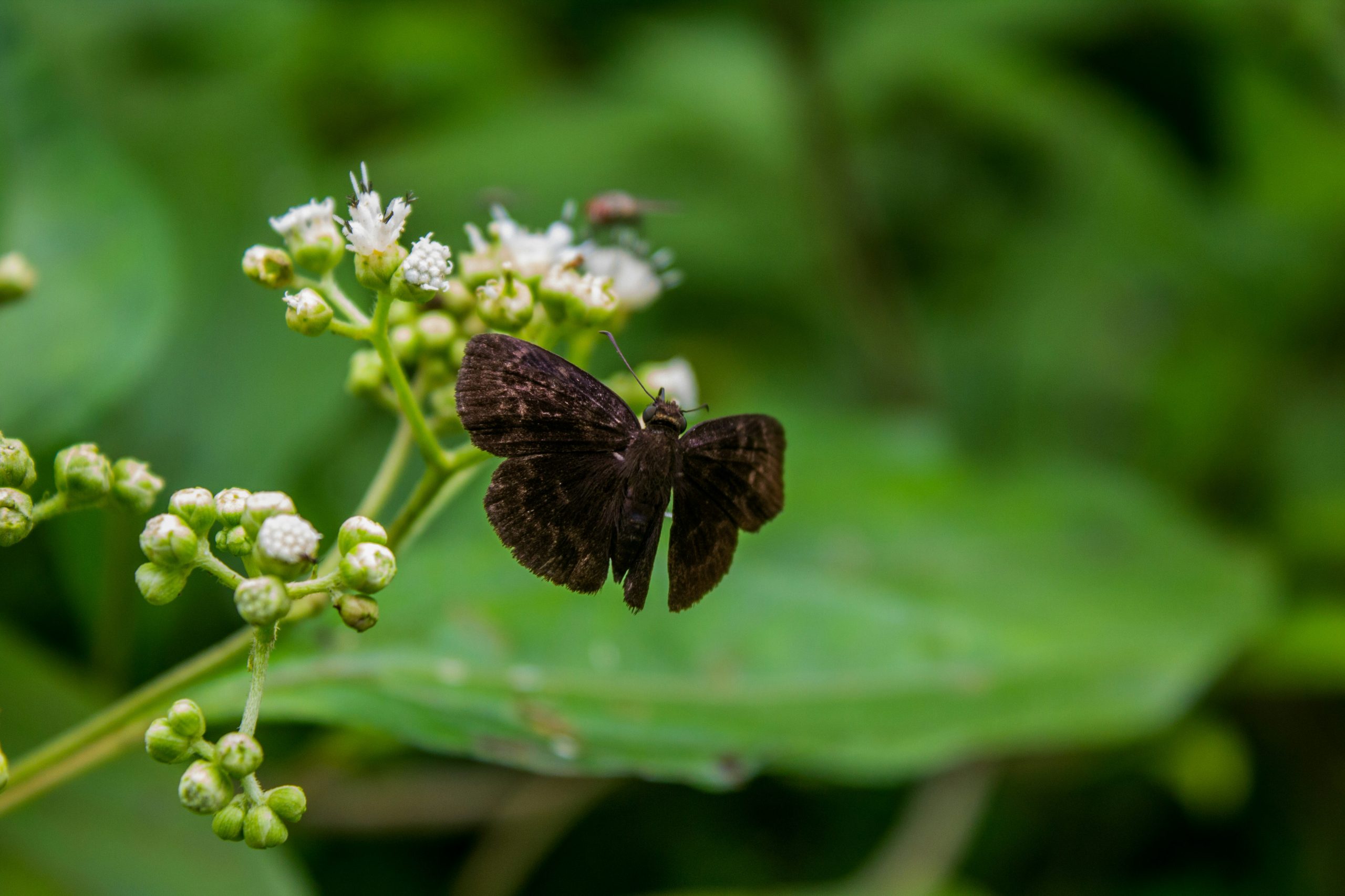 Amazing rewilding projects you can visit