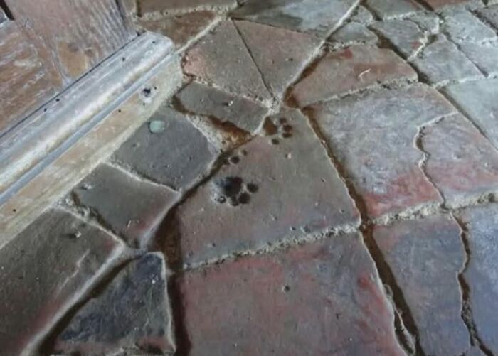 87 Extraordinary Artifacts That Have Surprised People For Centuries And Still Do Today