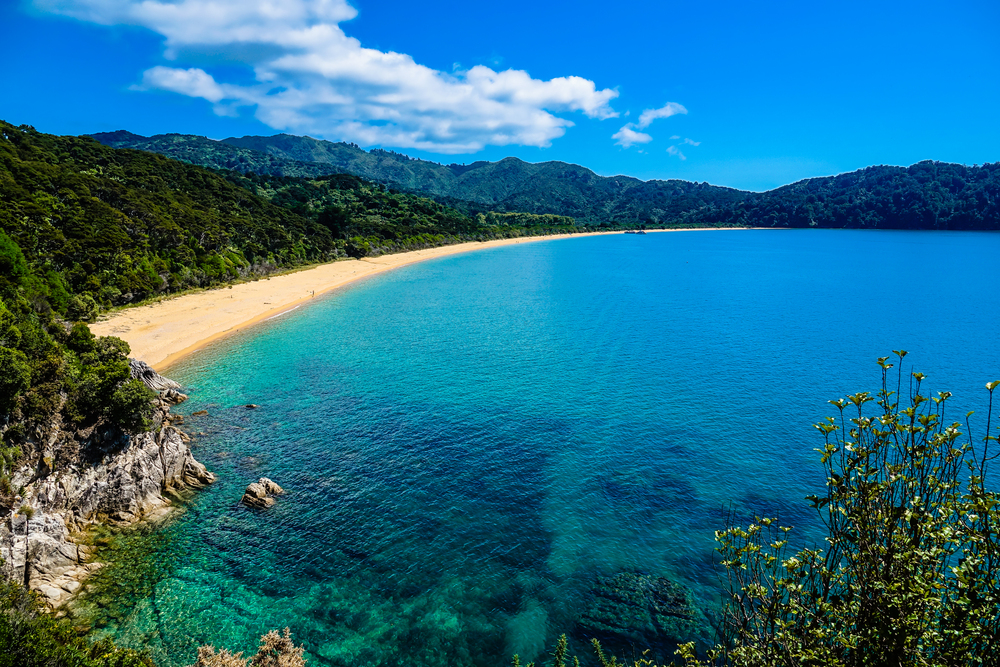 20 best coastal hikes in New Zealand for ocean views