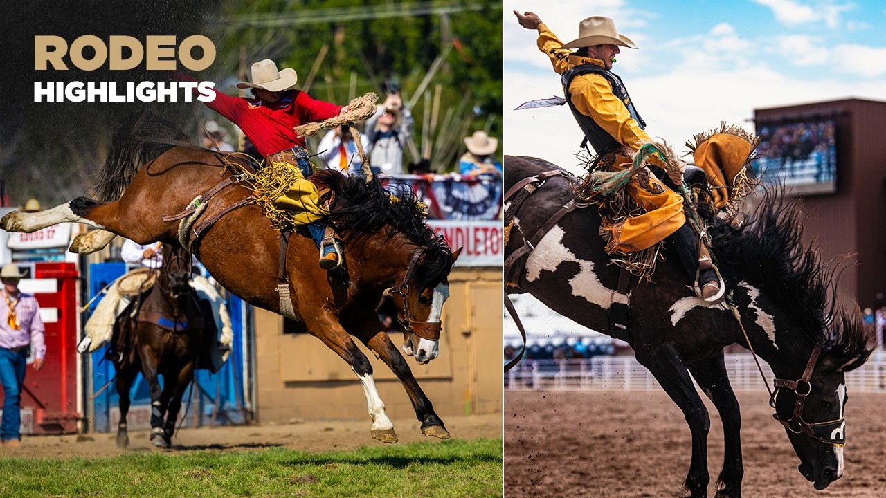 That horse was big, strong - and he matched it