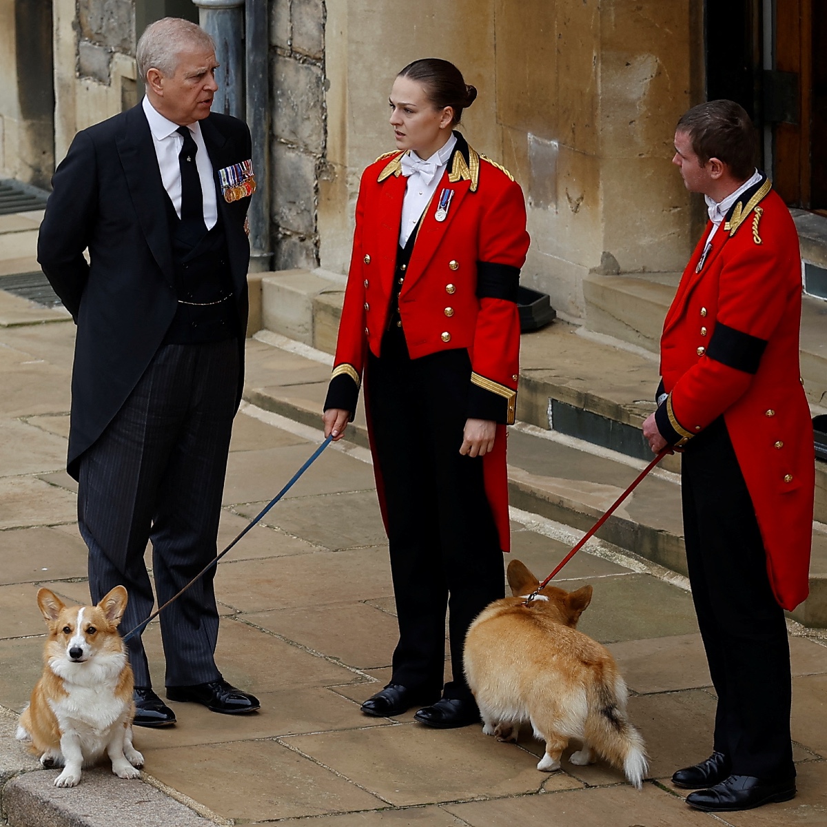 Il destino dei corgi della regina è legato alla caduta dell’ex principe ...