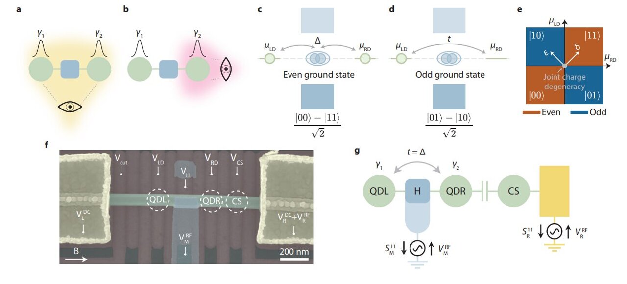 Majorana qubits become readable as quantum capacitance detects even-odd ...