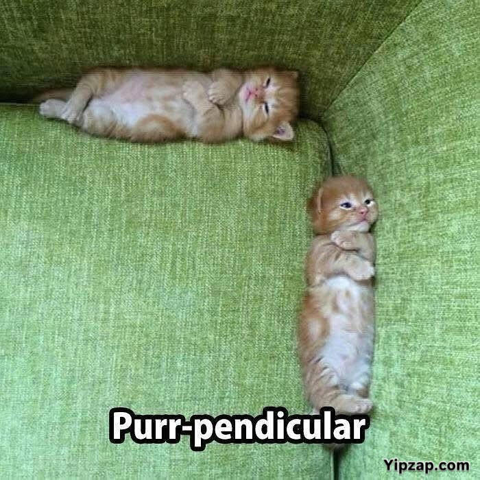 74 math memes for those who no longer need to count on their fingers