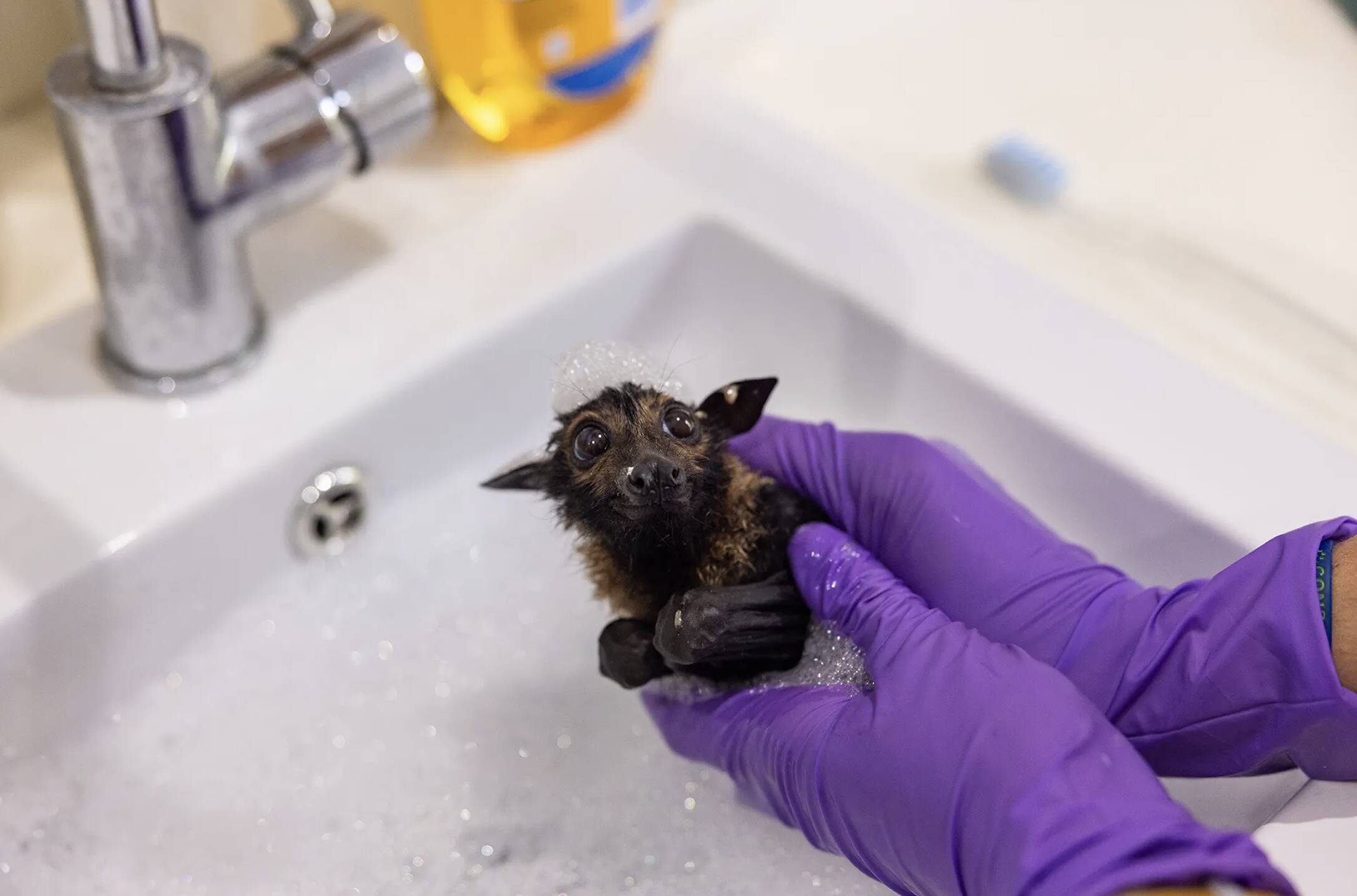 One-of-a-kind hospital saves hundreds of lives a year caring for most ...