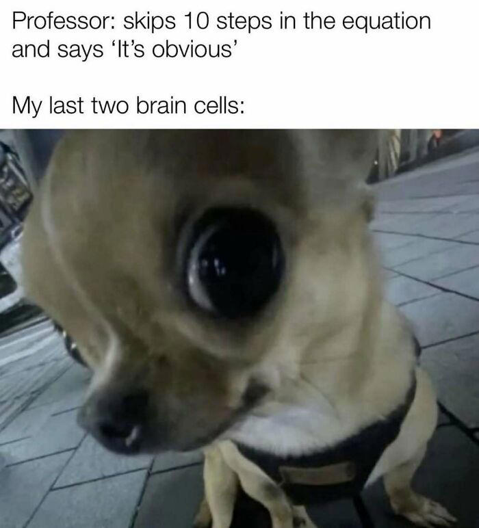 74 math memes for those who no longer need to count on their fingers