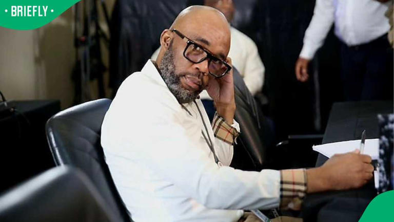 Acting IPID head tells Madlanga Commission that evidence against Julius ...