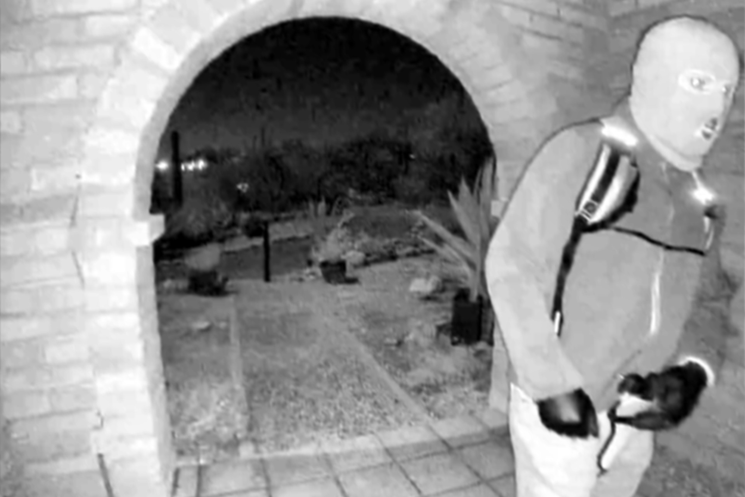 Nancy Guthrie kidnapper: What we know now<br>