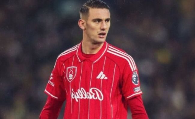 Pavone: 