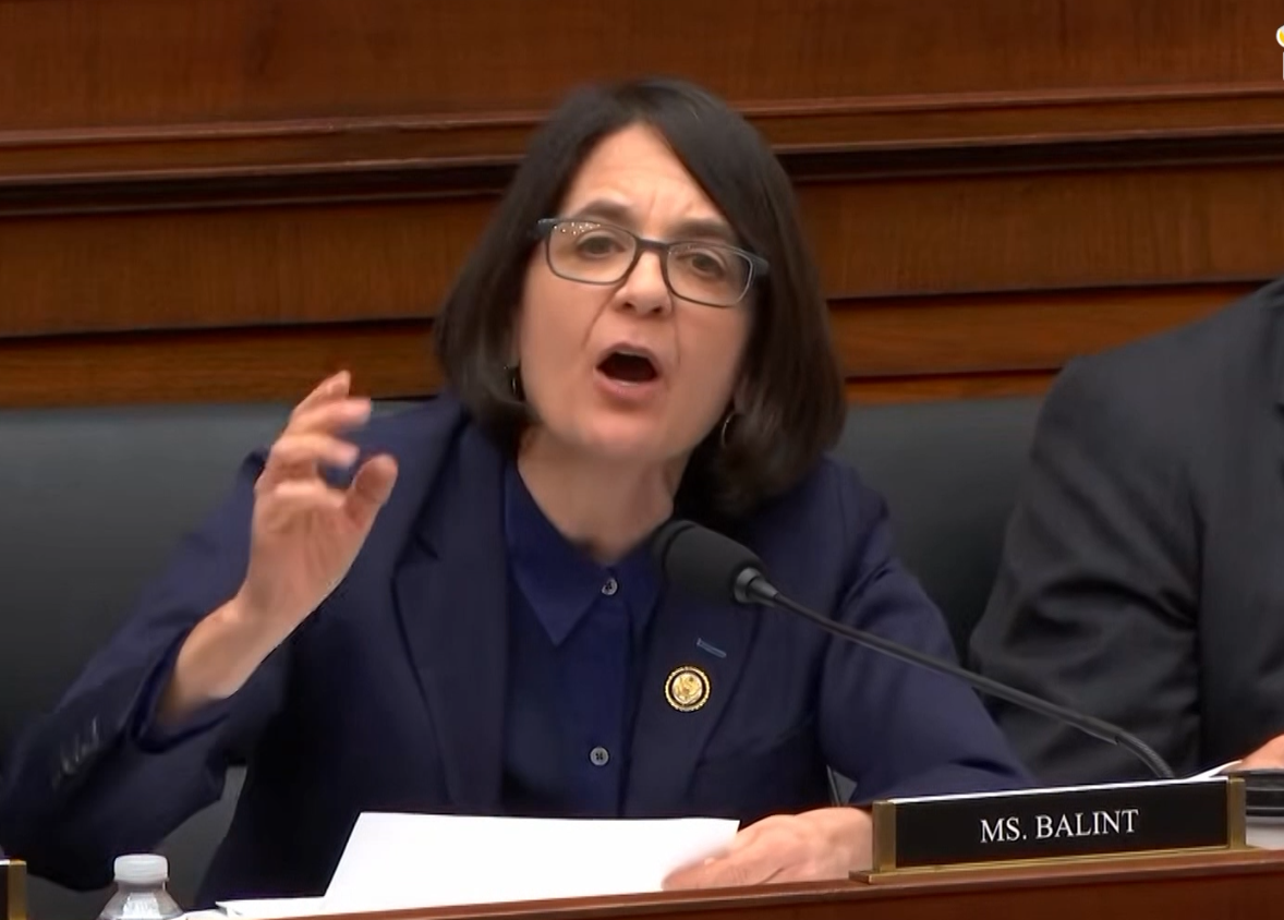 Balint, Bondi argue over Epstein files, slain border agent in explosive ...