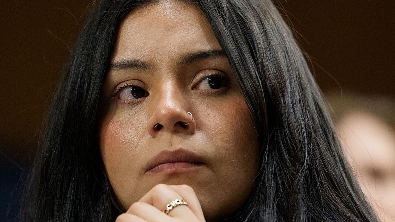 Chicago woman shot by immigration agent sues DHS, releases video of ...
