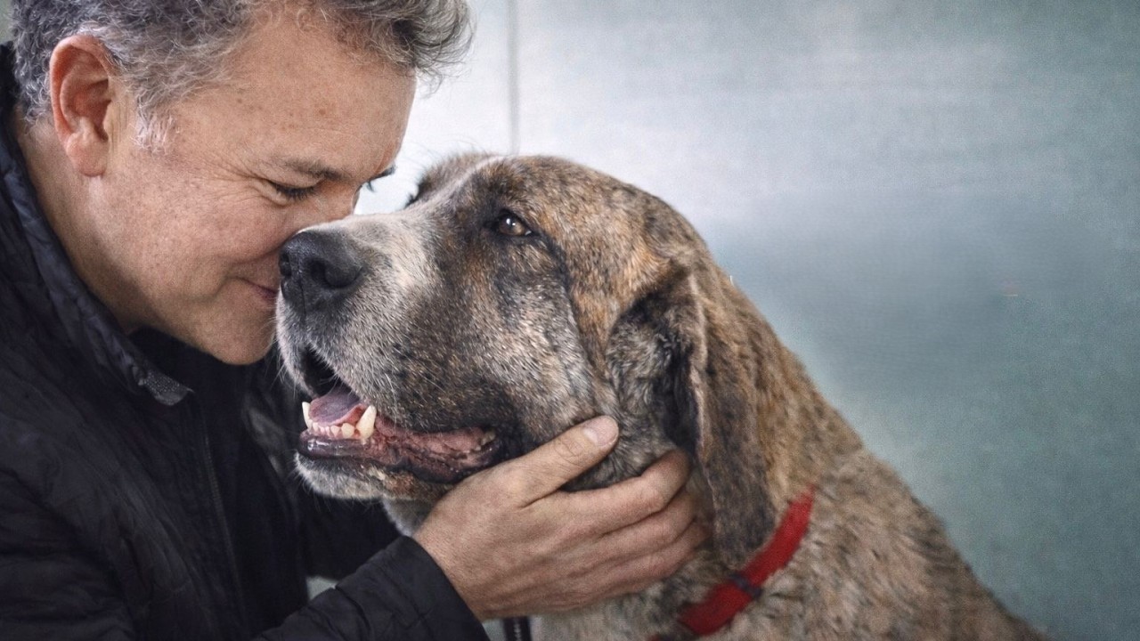 Watch how a dog left to die learns to walk again