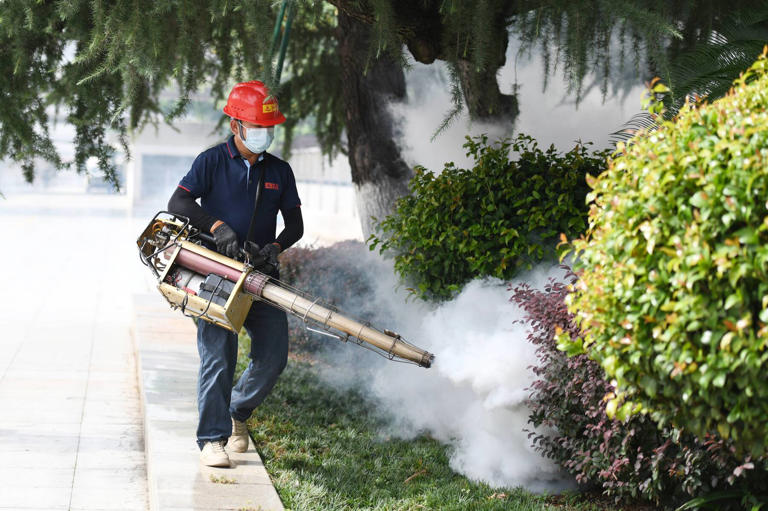 Chikungunya-Virus könnte schon bald ein europäisches Problem werden