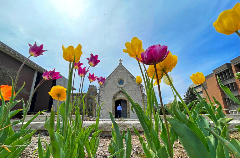 Will it be a warm spring in Wisconsin? What the 2026 seasonal forecast ...