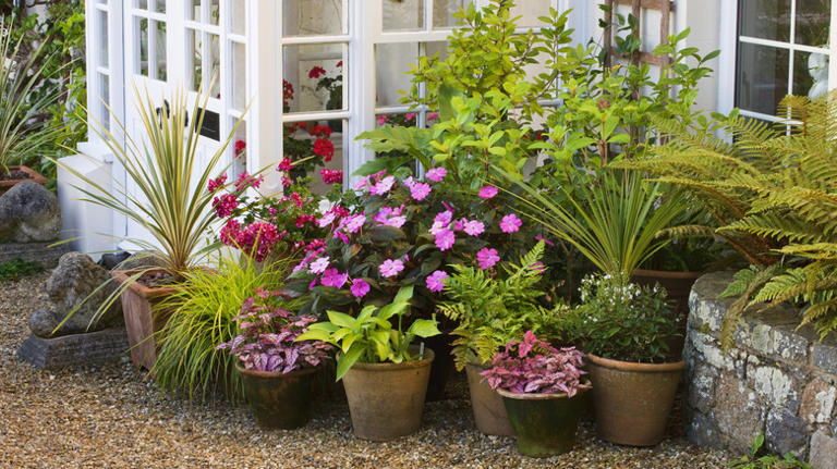 Forget traditional container gardening: Try this budget-friendly DIY ...