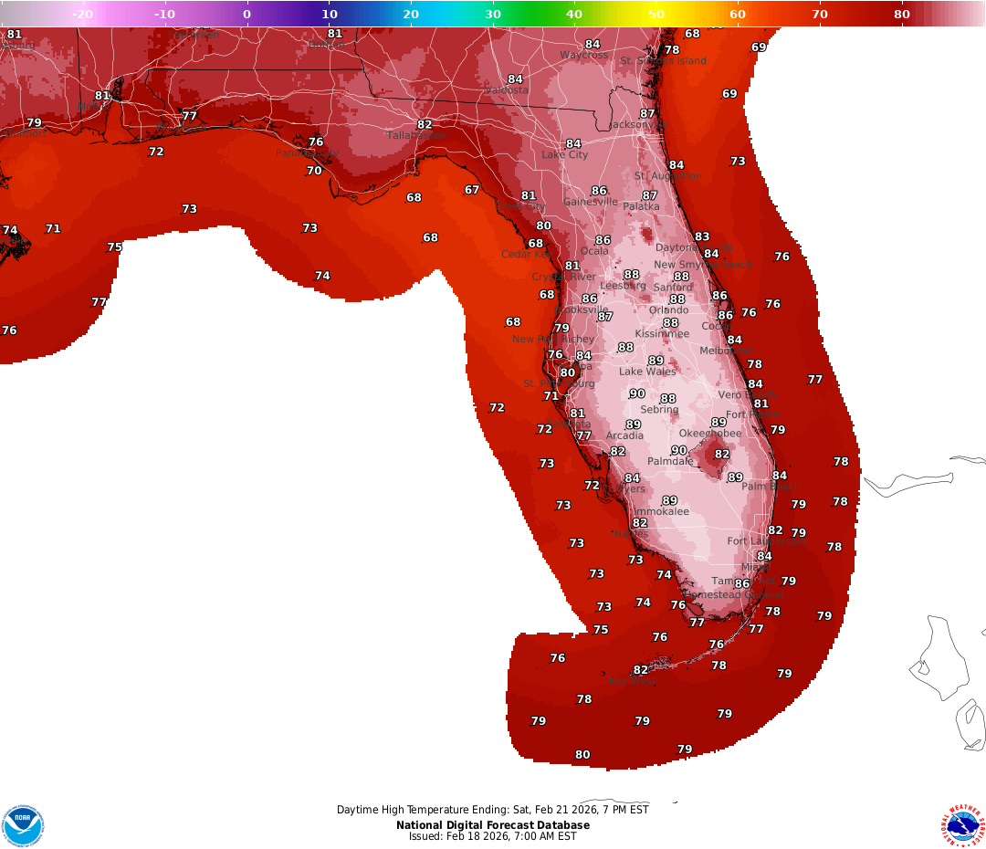 Jacksonville weather swings drastically: High temps in 80s, lows in 30s