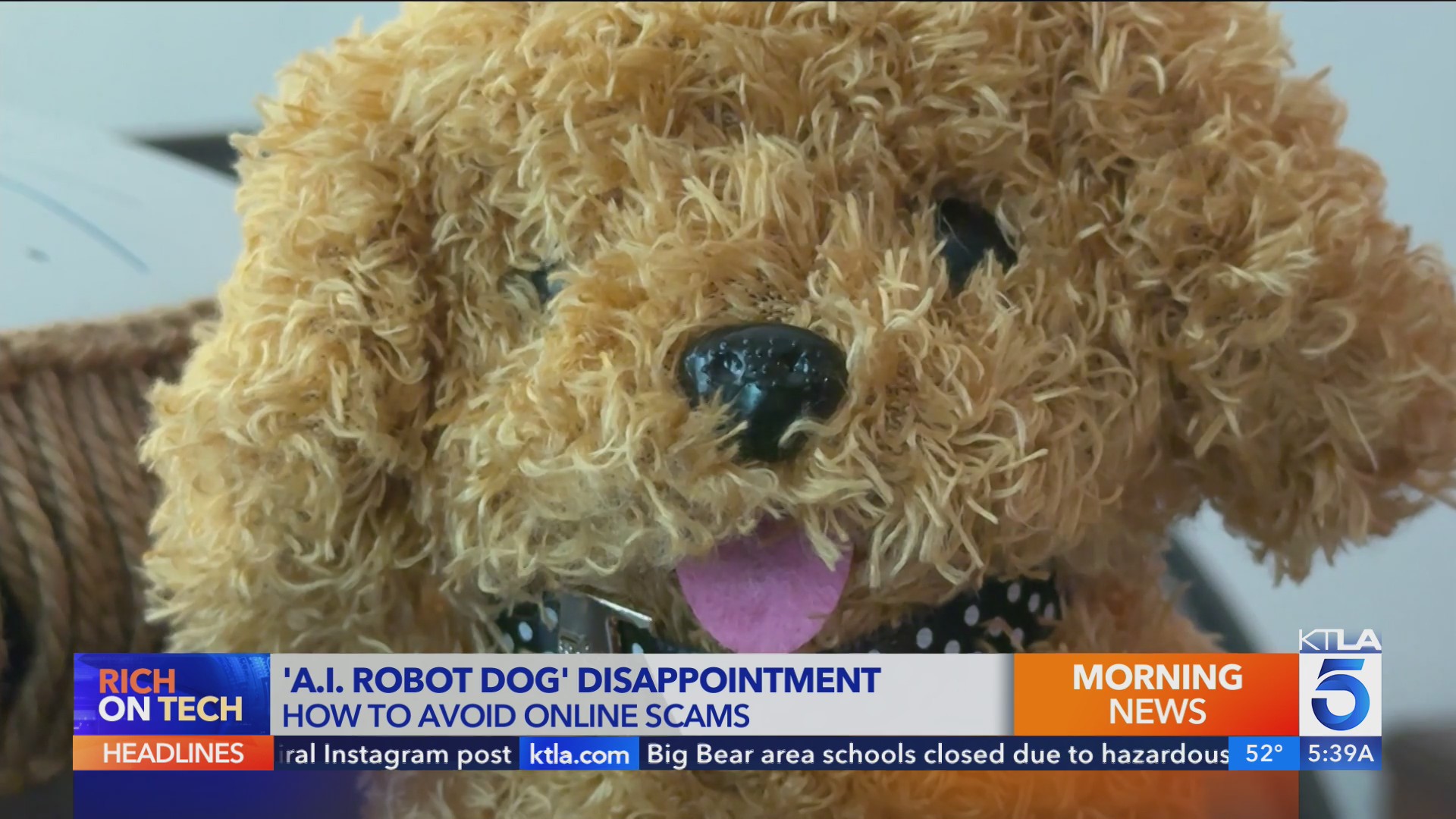 Buyers say Wuffy AI puppy isn’t as advertised - Rich on Tech