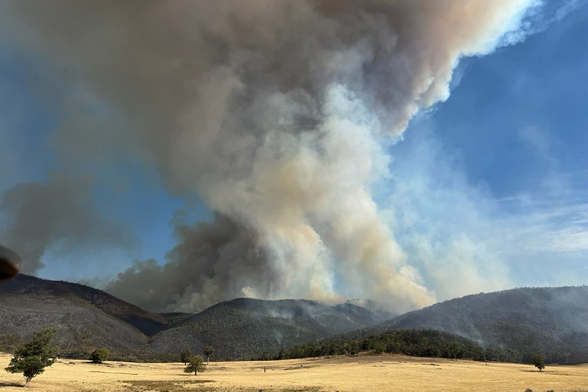 Long-term bushfire smoke exposure linked increased heart disease risk