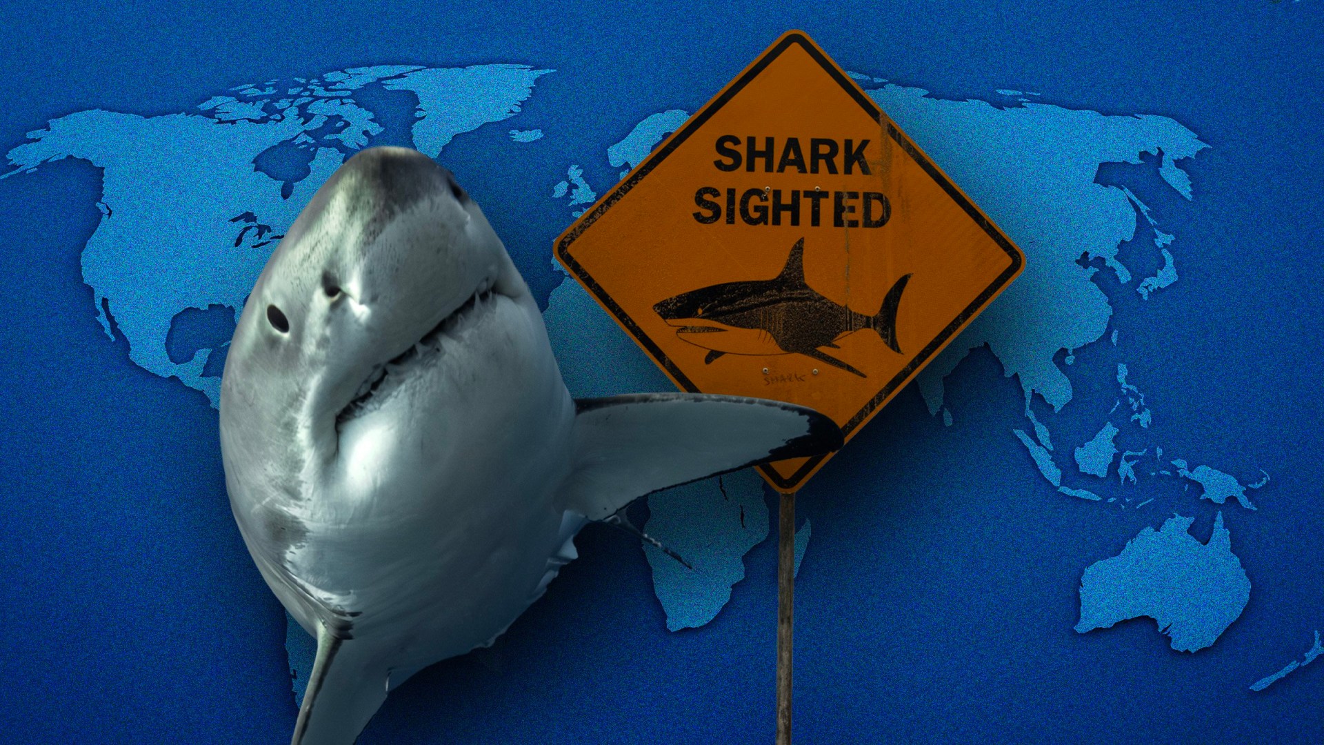 Map shows where you’re most likely to be bitten by a shark on holiday
