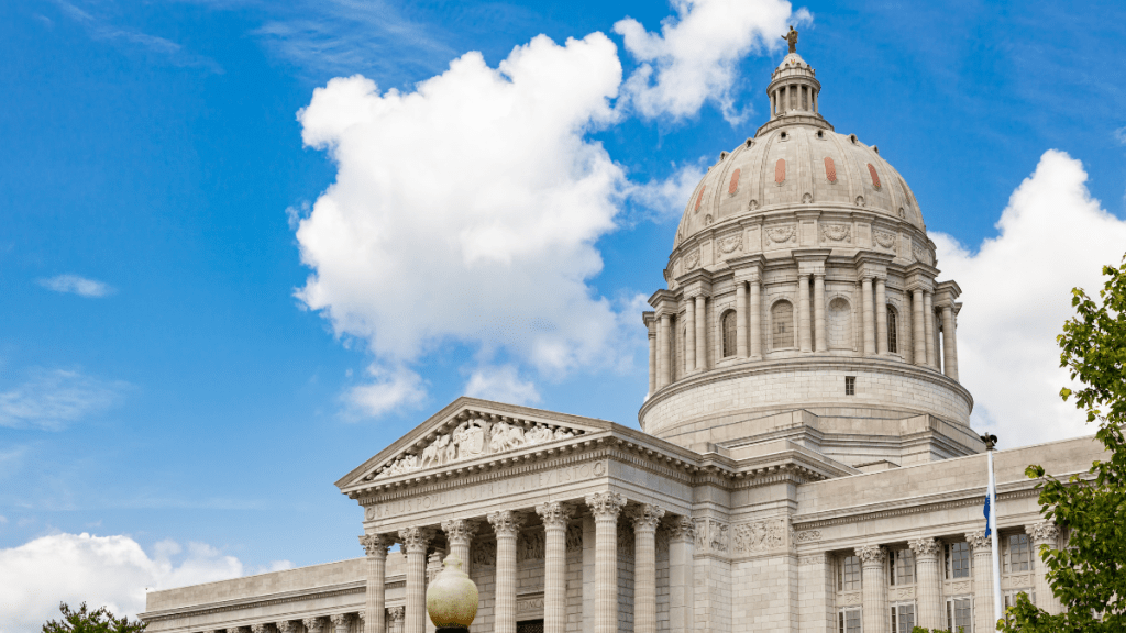 Missouri senator proposes creating investment fund to eliminate all ...