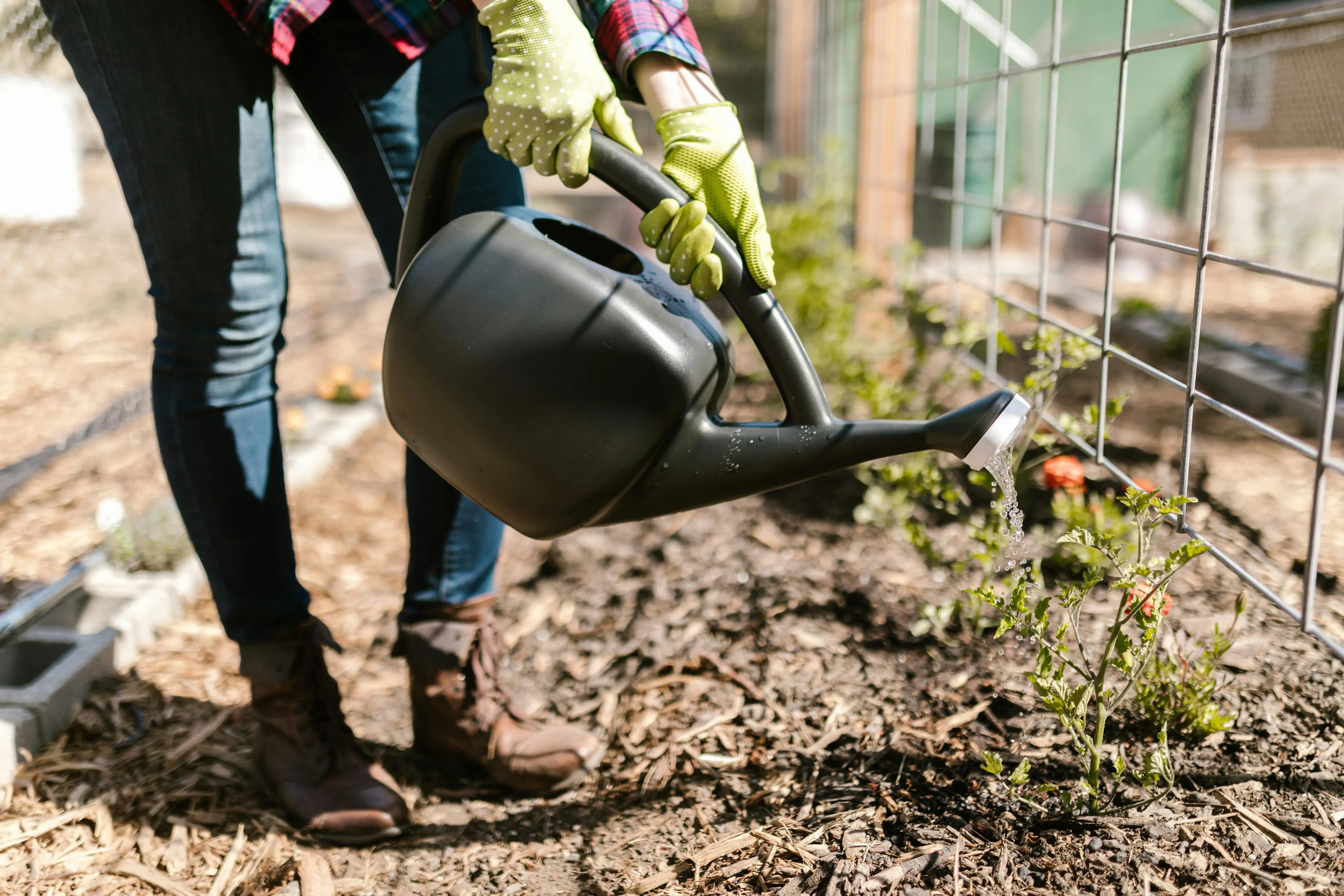 15 outdoor items commonly used again in spring