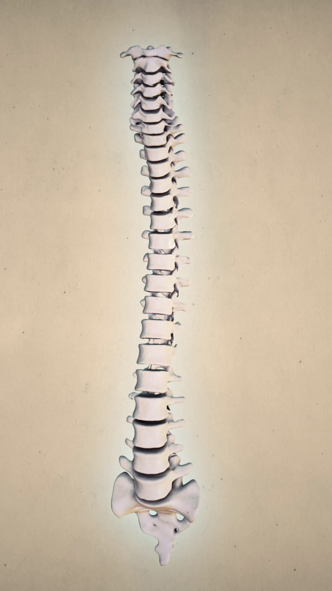 Why you should train your back