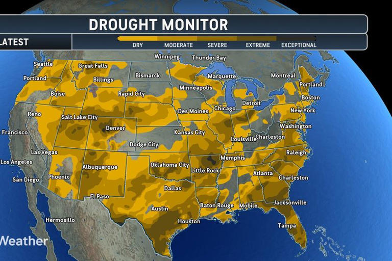 Florida faces worst drought in 25 years sparking major wildfire risk